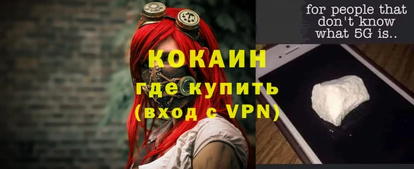 хмурый Абаза