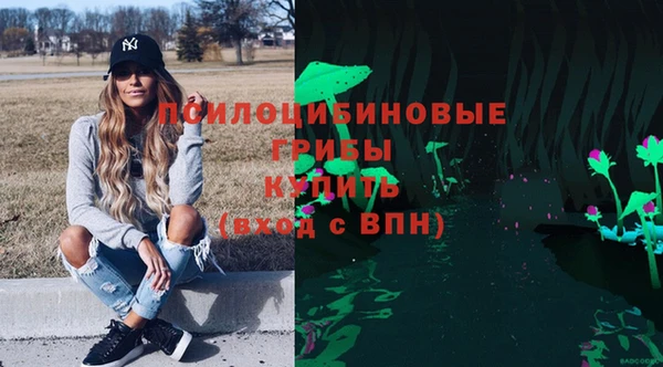 стаф Абдулино