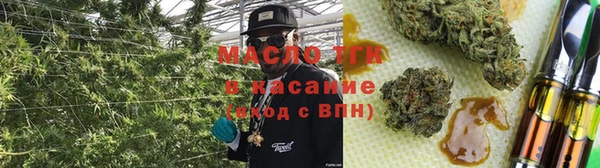 индика Алексин