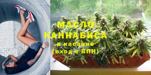 хмурый Абаза