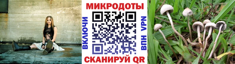 где можно купить   Яблоновский  KRAKEN рабочий сайт  Псилоцибиновые грибы мицелий 
